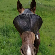 EquiVizor Solar Vizor Horse Fly Mask (Size Full), Superior UV Eye Protection to 99% for Horses with Uveitis, Photosensitivity, Ulcer, Head Shaking - Best Services Horseback riding lessons and horse supplies near San Diego, CA