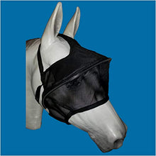 EquiVizor Solar Vizor Horse Fly Mask (Size Full), Superior UV Eye Protection to 99% for Horses with Uveitis, Photosensitivity, Ulcer, Head Shaking - Best Services Horseback riding lessons and horse supplies near San Diego, CA