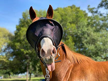 EquiVizor Solar Vizor Horse Fly Mask (Size Full), Superior UV Eye Protection to 99% for Horses with Uveitis, Photosensitivity, Ulcer, Head Shaking - Best Services Horseback riding lessons and horse supplies near San Diego, CA