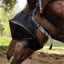 EquiVizor Solar Vizor Horse Fly Mask (Size Full), Superior UV Eye Protection to 99% for Horses with Uveitis, Photosensitivity, Ulcer, Head Shaking - Best Services Horseback riding lessons and horse supplies near San Diego, CA