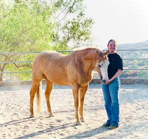 Positive & Negative Reinforcement with Horses