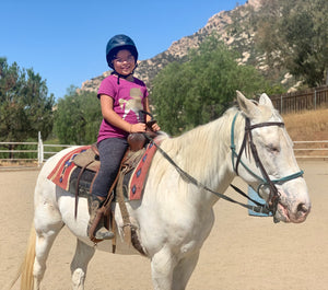 Silver Membership - Best Services Horseback riding lessons and horse supplies near San Diego, CA