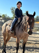 Silver Membership - Best Services Horseback riding lessons and horse supplies near San Diego, CA