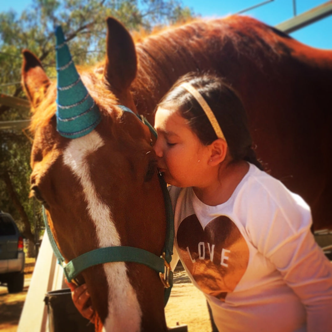 Therapeutic Riding Lessons - Best Services Horseback riding lessons and horse supplies near San Diego, CA