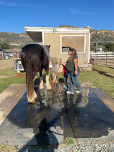 Tiny Tots - Horseback Riding Membership