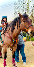 Tiny Tots - Horseback Riding Membership