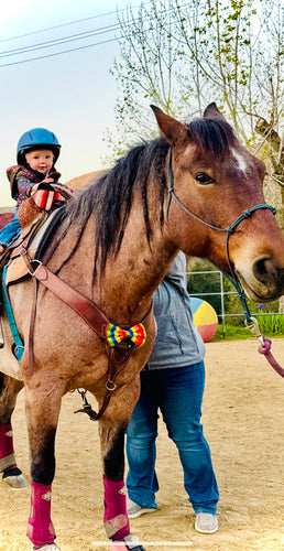 Tiny Tots - Horseback Riding Lesson