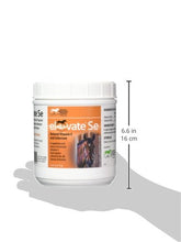 Kentucky Performance Prod Elevate Se Natural Vitamin E and Selenium Powder for Horses, 2 Pound Container - Best Services Horseback riding lessons and horse supplies near San Diego, CA