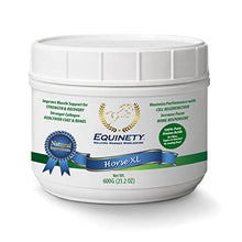 Horse XL - 100% Natural Horse Supplement Powder with 8 Essential Amino Acids to Help Promote Cellular Repair - No Soy, Sugar, and Fillers Horse Hoof Support, Horse Joint Support, and Gut Support - Best Services Horseback riding lessons and horse supplies near San Diego, CA