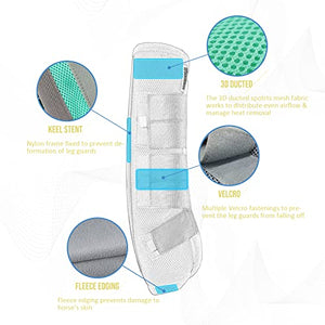 Harrison Howard Horse Fly Boots Leg Guards Fly Boots Protection Set of 4 Aqua Large Full Size - Best Services Horseback riding lessons and horse supplies near San Diego, CA
