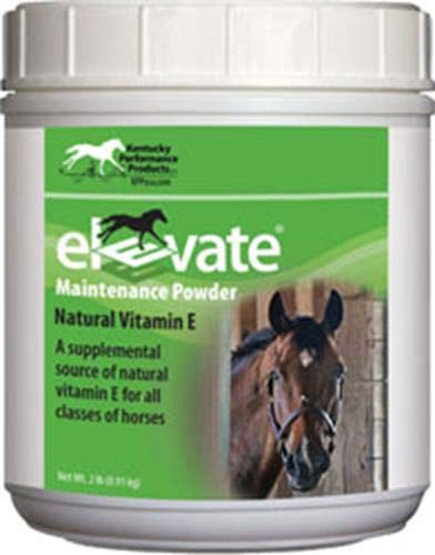 Kentucky Performance Prod 044097 Elevate Maintenance Powder Supplement for Horses, 2 lb - Best Services Horseback riding lessons and horse supplies near San Diego, CA