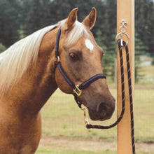Blocker Tie Ring II - Best horse training aid