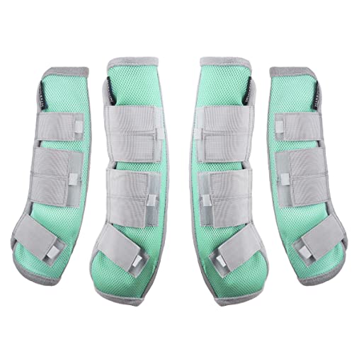 Harrison Howard Horse Fly Boots Leg Guards Fly Boots Protection Set of 4 Aqua Large Full Size - Best Services Horseback riding lessons and horse supplies near San Diego, CA