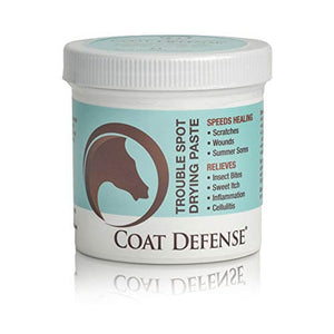 COAT DEFENSE Trouble Spot Drying Paste for Horses - Natural Equine Wound Care That Provides Safe & Effective Relief from Scratches, Sweet Itch, Summer Sores, Proud Flesh, Mud Fever, Girth Rot (24 Oz) - Best Services Horseback riding lessons and horse supplies near San Diego, CA