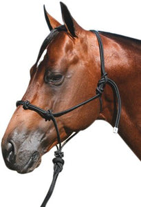 Professionals Choice Equine Nylon Clinician Halter (15-Feet, Lead Black) - Best Services Horseback riding lessons and horse supplies near San Diego, CA