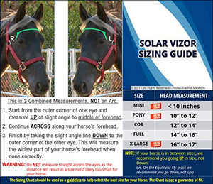 EquiVizor Solar Vizor Horse Fly Mask (Size Full), Superior UV Eye Protection to 99% for Horses with Uveitis, Photosensitivity, Ulcer, Head Shaking - Best Services Horseback riding lessons and horse supplies near San Diego, CA