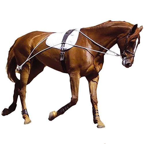 Hunters Saddlery Ultimate Horse Lunging Training Aid System Lunge Equipment for Pony Cob Horse Draft Size - Best Services Horseback riding lessons and horse supplies near San Diego, CA