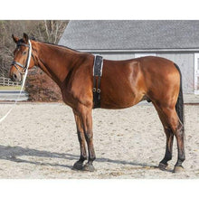 Dover Saddlery Fleece and Nylon Surcingle - Best Services Horseback riding lessons and horse supplies near San Diego, CA
