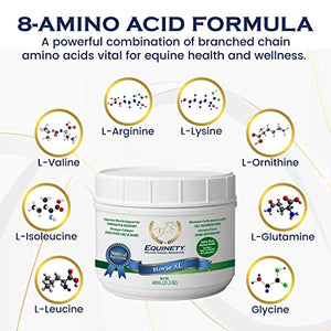 Horse XL - 100% Natural Horse Supplement Powder with 8 Essential Amino Acids to Help Promote Cellular Repair - No Soy, Sugar, and Fillers Horse Hoof Support, Horse Joint Support, and Gut Support - Best Services Horseback riding lessons and horse supplies near San Diego, CA