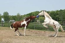 Horsemen's Pride 10" Jolly Ball Horse Toy, Blue, XLARGE - Best Services Horseback riding lessons and horse supplies near San Diego, CA