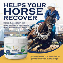 Horse XL - 100% Natural Horse Supplement Powder with 8 Essential Amino Acids to Help Promote Cellular Repair - No Soy, Sugar, and Fillers Horse Hoof Support, Horse Joint Support, and Gut Support - Best Services Horseback riding lessons and horse supplies near San Diego, CA