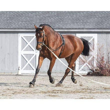 Dover Saddlery Fleece and Nylon Surcingle - Best Services Horseback riding lessons and horse supplies near San Diego, CA