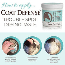 COAT DEFENSE Trouble Spot Drying Paste for Horses - Natural Equine Wound Care That Provides Safe & Effective Relief from Scratches, Sweet Itch, Summer Sores, Proud Flesh, Mud Fever, Girth Rot (24 Oz) - Best Services Horseback riding lessons and horse supplies near San Diego, CA
