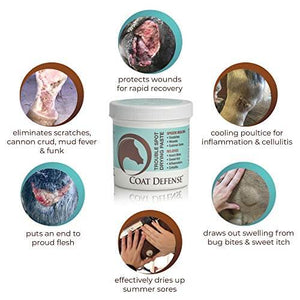 COAT DEFENSE Trouble Spot Drying Paste for Horses - Natural Equine Wound Care That Provides Safe & Effective Relief from Scratches, Sweet Itch, Summer Sores, Proud Flesh, Mud Fever, Girth Rot (24 Oz) - Best Services Horseback riding lessons and horse supplies near San Diego, CA
