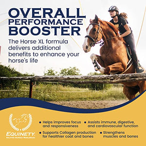 Horse XL - 100% Natural Horse Supplement Powder with 8 Essential Amino Acids to Help Promote Cellular Repair - No Soy, Sugar, and Fillers Horse Hoof Support, Horse Joint Support, and Gut Support - Best Services Horseback riding lessons and horse supplies near San Diego, CA