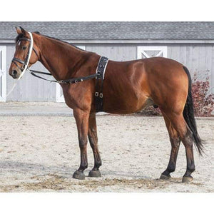Dover Saddlery Fleece and Nylon Surcingle - Best Services Horseback riding lessons and horse supplies near San Diego, CA