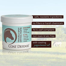 COAT DEFENSE Trouble Spot Drying Paste for Horses - Natural Equine Wound Care That Provides Safe & Effective Relief from Scratches, Sweet Itch, Summer Sores, Proud Flesh, Mud Fever, Girth Rot (24 Oz) - Best Services Horseback riding lessons and horse supplies near San Diego, CA