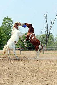 Horsemen's Pride 10" Jolly Ball Horse Toy, Blue, XLARGE - Best Services Horseback riding lessons and horse supplies near San Diego, CA