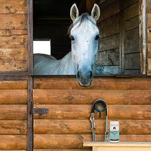 Coat Defense Daily Preventative Powder for Horses - Safe & Effective Equine Sweet Itch, Skin Funk, Scratches, & Rain Rot Treatment - Dry Shampoo for Horses, 8 oz Formula with All Natural Ingredients - Best Services Horseback riding lessons and horse supplies near San Diego, CA