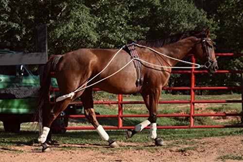 Leaders Training or Lungeing Aid for Horse - Best Services Horseback riding lessons and horse supplies near San Diego, CA