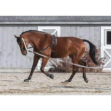 Dover Saddlery Fleece and Nylon Surcingle - Best Services Horseback riding lessons and horse supplies near San Diego, CA