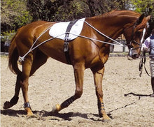 Hunters Saddlery Ultimate Horse Lunging Training Aid System Lunge Equipment for Pony Cob Horse Draft Size - Best Services Horseback riding lessons and horse supplies near San Diego, CA