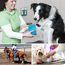 LotFancy Vet Wrap, 4 Inch x 5 Yards, 10 Pack Self Adhesive Bandage Wrap, Non-Woven Cohesive Bandage, First Aid Tape for Horses Dogs Cats Elbow Ankle, Assorted Color - Best Services Horseback riding lessons and horse supplies near San Diego, CA