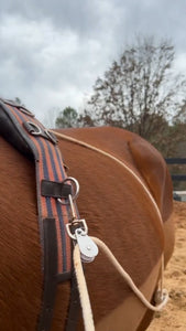 Leaders Training or Lungeing Aid for Horse - Best Services Horseback riding lessons and horse supplies near San Diego, CA