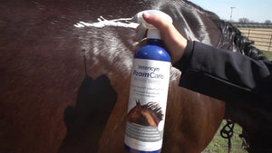 Vetericyn FoamCare Horse Shampoo | Equine Shampoo with Aloe to Promote Healthy Skin and Coat - Paraben Free - Cleans, Moisturizes, and Conditions Horse's Coat - Instant Foam Shampoo - 32-ounce - Best Services Horseback riding lessons and horse supplies near San Diego, CA