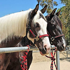 Safety Tie Injuries Preventing Horse Tether Tie - Portable & Reusable Breakaway Horse Tie - Safety for You & Your Horse - Quick Release Horse Tie - 5 Customizable Loop Setting - 2pcs (Dark Blue) - Best Services Horseback riding lessons and horse supplies near San Diego, CA