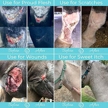 COAT DEFENSE Trouble Spot Drying Paste for Horses - Natural Equine Wound Care That Provides Safe & Effective Relief from Scratches, Sweet Itch, Summer Sores, Proud Flesh, Mud Fever, Girth Rot (24 Oz) - Best Services Horseback riding lessons and horse supplies near San Diego, CA