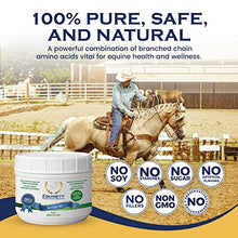 Horse XL - 100% Natural Horse Supplement Powder with 8 Essential Amino Acids to Help Promote Cellular Repair - No Soy, Sugar, and Fillers Horse Hoof Support, Horse Joint Support, and Gut Support - Best Services Horseback riding lessons and horse supplies near San Diego, CA