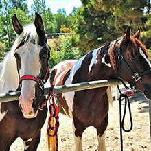 Safety Tie Injuries Preventing Horse Tether Tie - Portable & Reusable Breakaway Horse Tie - Safety for You & Your Horse - Quick Release Horse Tie - 5 Customizable Loop Setting - 2pcs (Dark Blue) - Best Services Horseback riding lessons and horse supplies near San Diego, CA