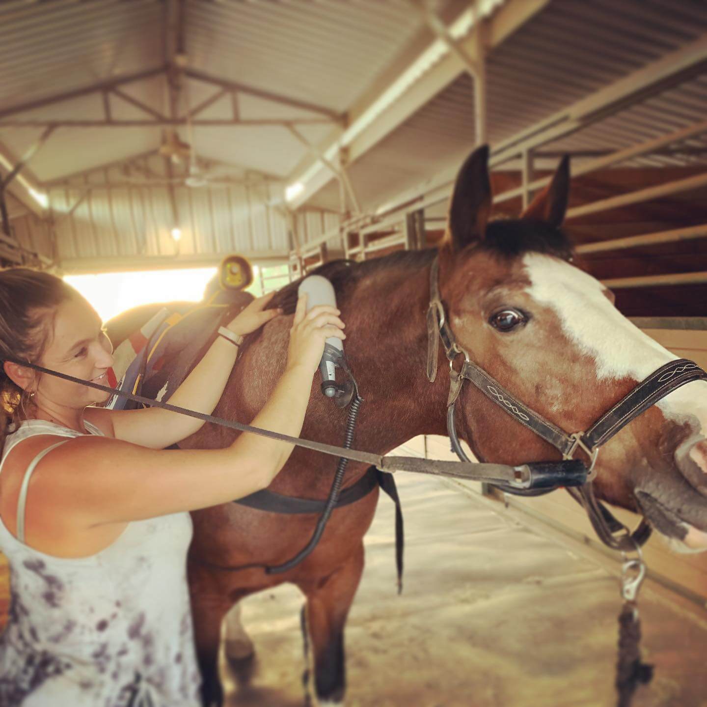 Equine Massage - Niagara Equissage Pulse Equine Massage - Niagara Equissage Pulse