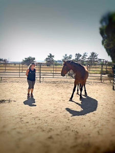 Equine Assisted Learning - Best Services Horseback riding lessons and horse supplies near San Diego, CA
