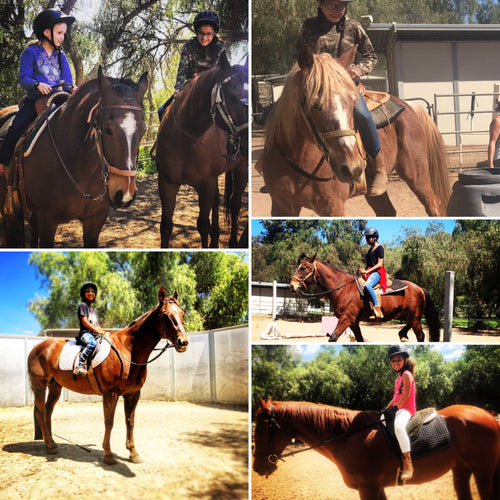 Horseback Riding Lessons - Best Services Horseback riding lessons and horse supplies near San Diego, CA