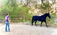 Horsemanship Lessons - Best Services Horseback riding lessons and horse supplies near San Diego, CA