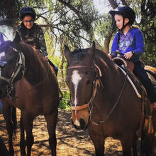 Horseback Riding Lessons - Best Services Horseback riding lessons and horse supplies near San Diego, CA