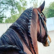 Horsemanship Experience - Best Services Horseback riding lessons and horse supplies near San Diego, CA